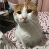 tracy92_